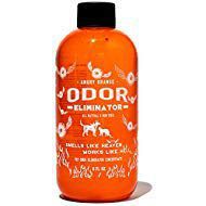 Angry Orange Pet Odor Eliminator for Dog and Cat Urine, Makes 1 Gallon of Solution for Carpet, Furniture and Floor Stains