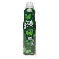 Glade Winter Collection Aerosol Spray, Bayberry Spice and Everything Nice 9.7 oz (274 g)