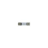 BoliOptics 1 Amp 220V Glass Fuse for Microscope EP99031120