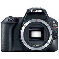 Canon EOS Rebel SL2 DSLR Body - Black