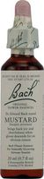 Bach Flower Remedies Essence Mustard -- 0.7 fl oz - 3PC