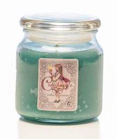 Courtney's Candles Mystic Patchouli Maximum Scented 16oz Medium Jar Candle