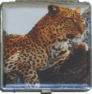 Eclipse Cheetah King Size Cigarette Case (Cheetah laying down)