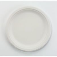Chinet Classic Premium Strength 9-3/4" Paper Plates, 500 Plates (HUHVAPOR)
