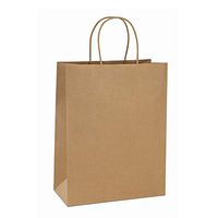 BagDream 10x5x13 25Pcs Brown Kraft Paper Bags with Handles Shopping Bags, Merchandise, Retail Bags, Party Bags, Gift Bags in Bulk, 100% Recycled Paper Gift Bags