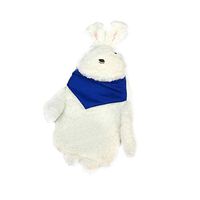 Luckycyc Rabbit Hot Water Bag,Cute Plush Doll Rabbit Cover Warm Water Bag for Kids,Great Hand Warmer for Pain Relief,Hot and Cold Therapy.