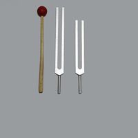 High Ohm Tuning Fork Set 272.2 Hz & 544.4 Hz with Free Mallet Activator