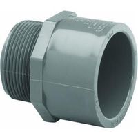 GENOVA PRODUCTS, 2 Sxmip Sch80 Pvc Male Adapter, EA