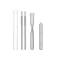 Reusable Stainless Steel Straws (Silver)