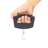 ZYY Portable Electronic Scales， 110lb/50kg Digital Hand Weighing Fishing Postal Hanging Hook Scale