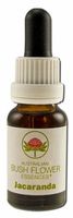 Jacaranda Individual Essences - 15 ml,(Australian Bush Flower Essences)