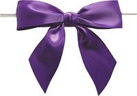 BAYWIND LTD; 3" Twist Tie Bows- 50pc (Purple)