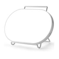 ZSH Light Therapy Lamp, with 4 Adjustable Brightness, UV-Free 10,000 Lux LED Therapy Light, Touch Control with Timer Function & Compact