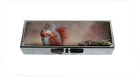 Hiutong Red Squirrel Custom Rectangle Silver Glass Pill Case Decoration Metal Medicine Vitamin Tissue Unique Gift