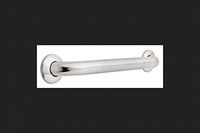 Franklin Brass FB5618PSBS 18" Grab Bar, Concealed Mount, Peened and Bright Stainless