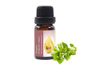 Oregano (Origanum vulgare) Essential Oil, 100% Pure, Undiluted, Therapeutic Grade 10ml (1/3 oz)