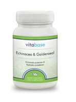 Echinacea/Golden Seal - 100 Capsules