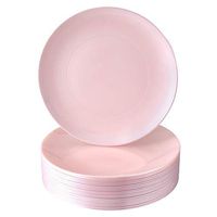 DISPOSABLE DINNER PLATES | 20 pc | Heavy Duty Plastic Dishes | Elegant Fine China Look | Opulence – Blush (10.25”)