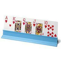 Devine Medical Plastic Card Holder Meausres 10"L x 2"W x 1.25"H