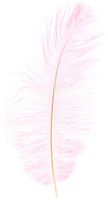 ZUCKER Ostrich Feathers 2/Pkg, Light Pink