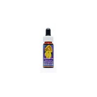 Flower Essence Services Essence, Scotch Broom, 0.25 Ounce