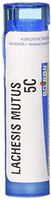 Boiron Lachesis Mutus 5c, 80 Count
