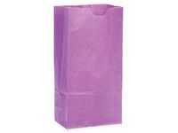 Paper Kraft Color Gift Bags - Bulk 4 lb Gift Sacks Purple Kraft 5x3-1/8x9-5/8" (500 Bags) - WRAPS-GB4PU