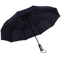 Roysberry Rain UmbrellaWindproof Double Layer Inverted Umbrellas Reverse Folding Umbrella UV Protection 10 Bone Automatic Umbrella