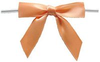 BAYWIND LTD; 2.75" Twist Tie Bows- 100pc (Peach)