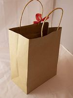 Glo4Him Brown Kraft Paper Bags with Handles (25), 8 x 4.5 x 10 inch Shopping Bags, Kraft Bags, Retail Bags, Party Bags, Brown Paper Gift Bags with Handles Bulk