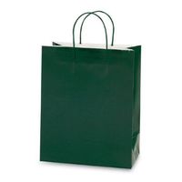 Green Gift Bag 6ct