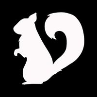 Makarios LLC Squirrel Cars Trucks Vans Walls Laptop MKR| White |5.5 x 5.5|MKR659