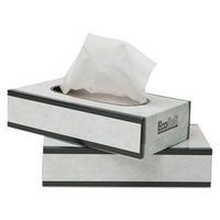 Bay West Paper Wau 13000 C-Ecosoft Flat Bx Facial Tiss 100Sh 2Ply 30 WAU 13000