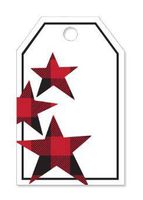 Buffallo Plaid Lumberjack Star Gift Note Cards with Envelopes and Gold Seal -25pack Set