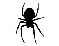 Spider (4" X 6") Die Cut Decal Bumper Sticker For Windows, Cars, Trucks, Laptops, Etc.