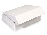 Pack Of 6, 12 x 9 x 3" White Gourmet Shipping Boxes Auto Lock Boxes 1-piece w/fold-over lid