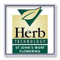 St John's Wort Flowering Tops 300 Capsules