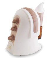 DIFFUSER WORLD : Aroma-Ace Essential Oil Atomizing Diffuser, State of The Art Therapeutic Benefits, Airborne Virus Prevention, 110 Volt United States Version, Bronze