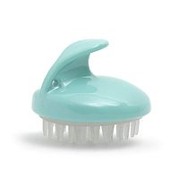 Manual Scalp Shampoo Massager Brush Hair Head Massager Relaxation Pressure Super Soft Transparent Mint Green For Curly Hair Women