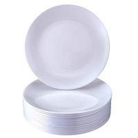 DISPOSABLE PLASTIC APPETIZER PLATES | Premium Reusable Cake Plates | 20 Salad Plates | Opulence Pearl | 9"