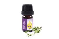 Mountain Savory Essential Oil (Satureja Montana L.) 100% Pure, Therapeutic Grade (10 ml (1/3 oz)