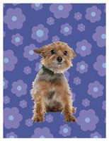 Yorkshire Terrier Boxed Blank Notecards Box of 10