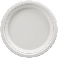 AmazonBasics Compostable 9-Inch Plates, Pack of 250