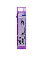 Boiron Bellis Perennis 200ck, Purple, 80 Count