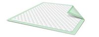 MCK73463100 - Underpad McKesson Regular 23 X 36 Inch Disposable Fluff / Polymer Moderate Absorbency