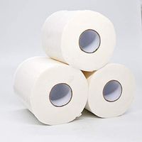 3-Ply Silky & Smooth Soft Toilet Paper 3 Rolls, Soft Ultra Professional White Toilet Tissue,Value Size Ultra Strong Advanced Bath Tissue Rolls, Home Kitchen Bedroom Toilet Tissue Bulk (D: 3 Rolls)