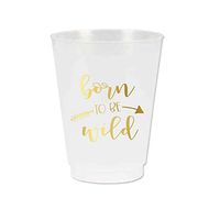 Born to Be Wild Birthday Party or Baby Shower Cups, Set of 10 Frosted Plastic Cups, Born to Be Wild, Arrow