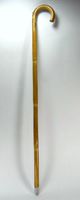 Old Fashioned Horse Measuring Walking Stick Cane