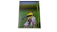 36 Lined Page Writing Tablet (Goldfinch)
