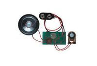 RadioShack 9V Digital Voice Recording Module